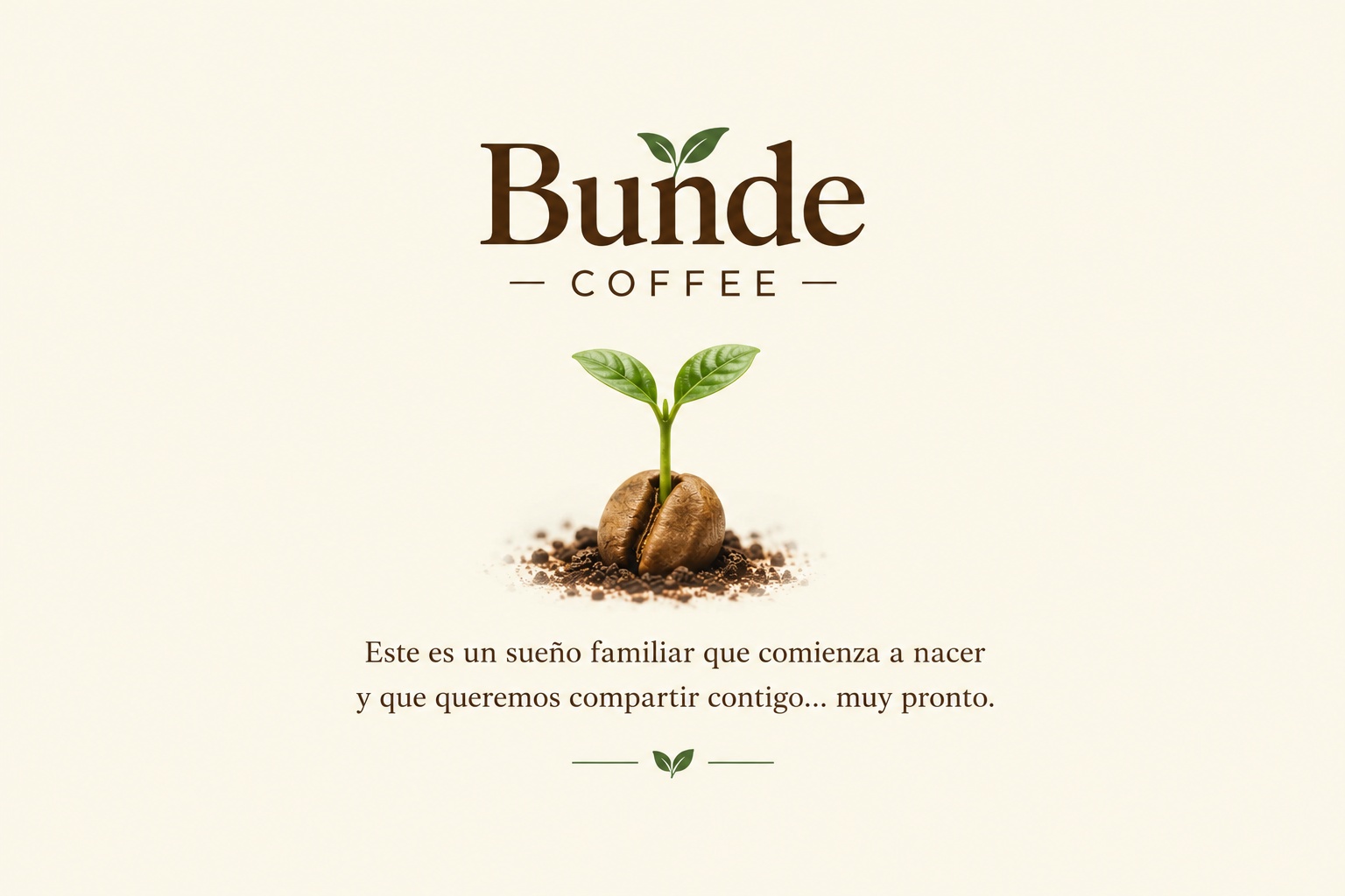 Pequeña planta de café naciendo de su semilla